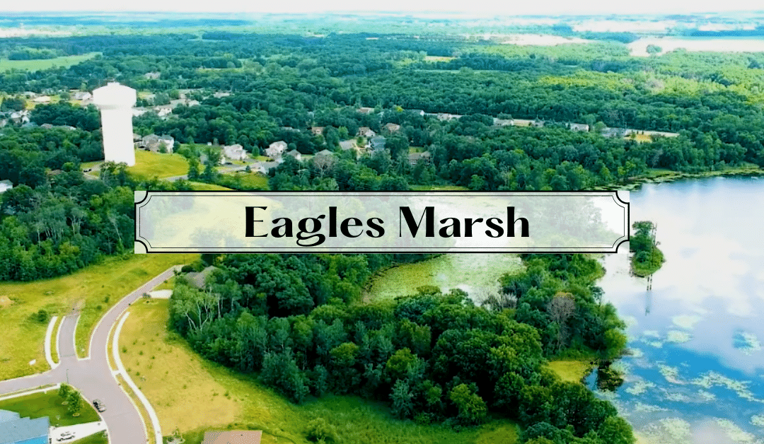 Eagles Marsh: Lush Landscapes and Lake Views Near Town Amenities